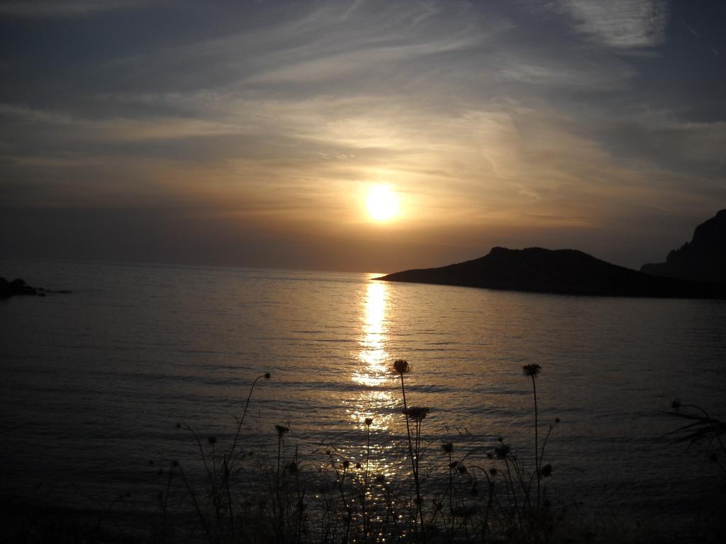 Amphitrite Myrties Quarto foto
