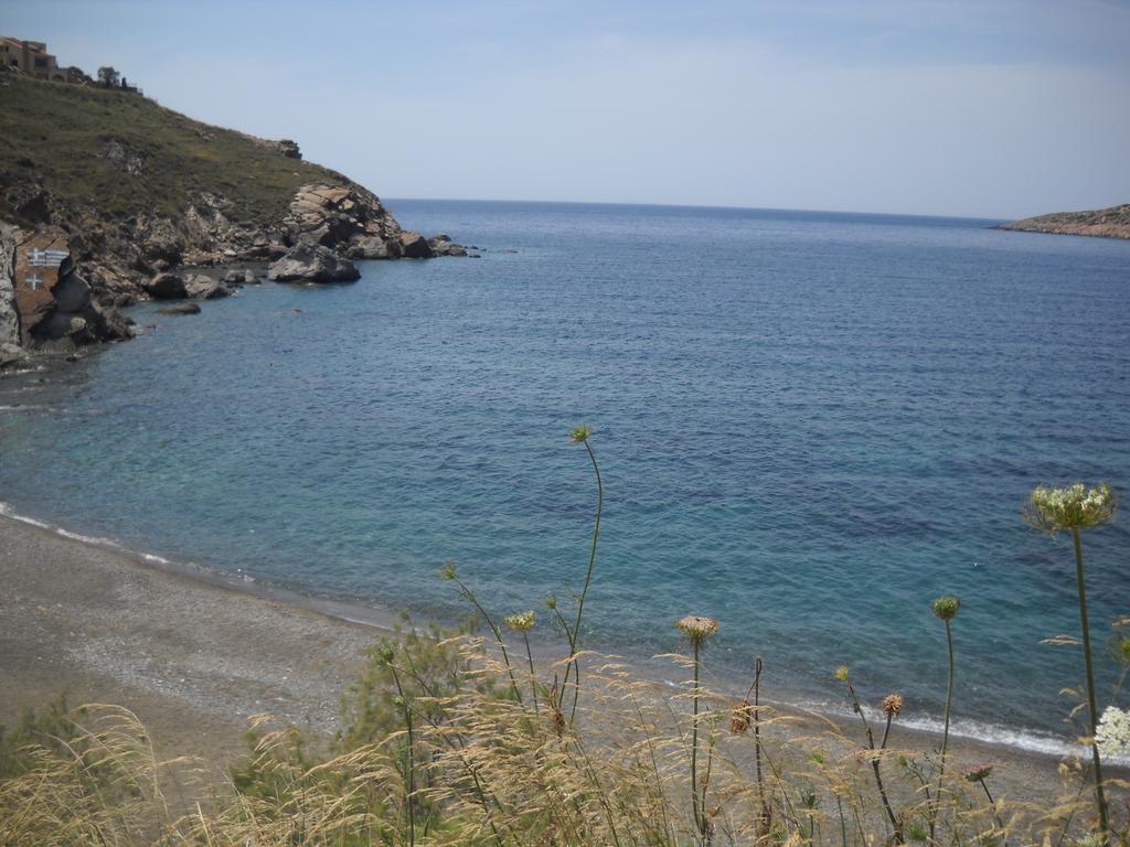 Amphitrite Myrties Quarto foto